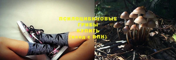 винт Медвежьегорск