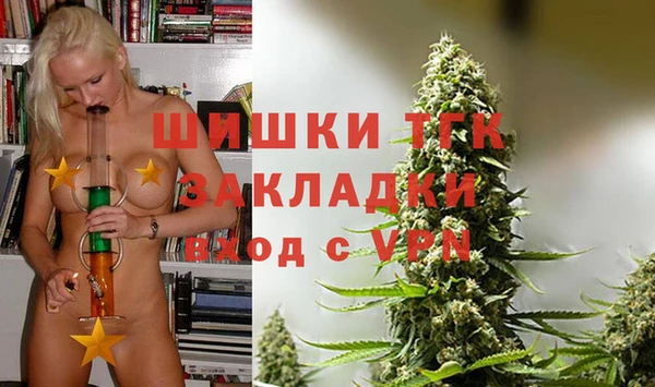 ECSTASY Медногорск
