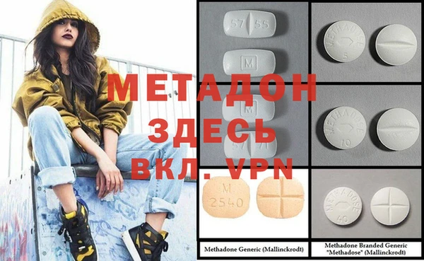 PSILOCYBIN Алагир