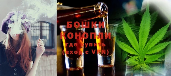 ECSTASY Медногорск
