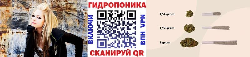 kraken tor  Брюховецкая  МАРИХУАНА конопля 